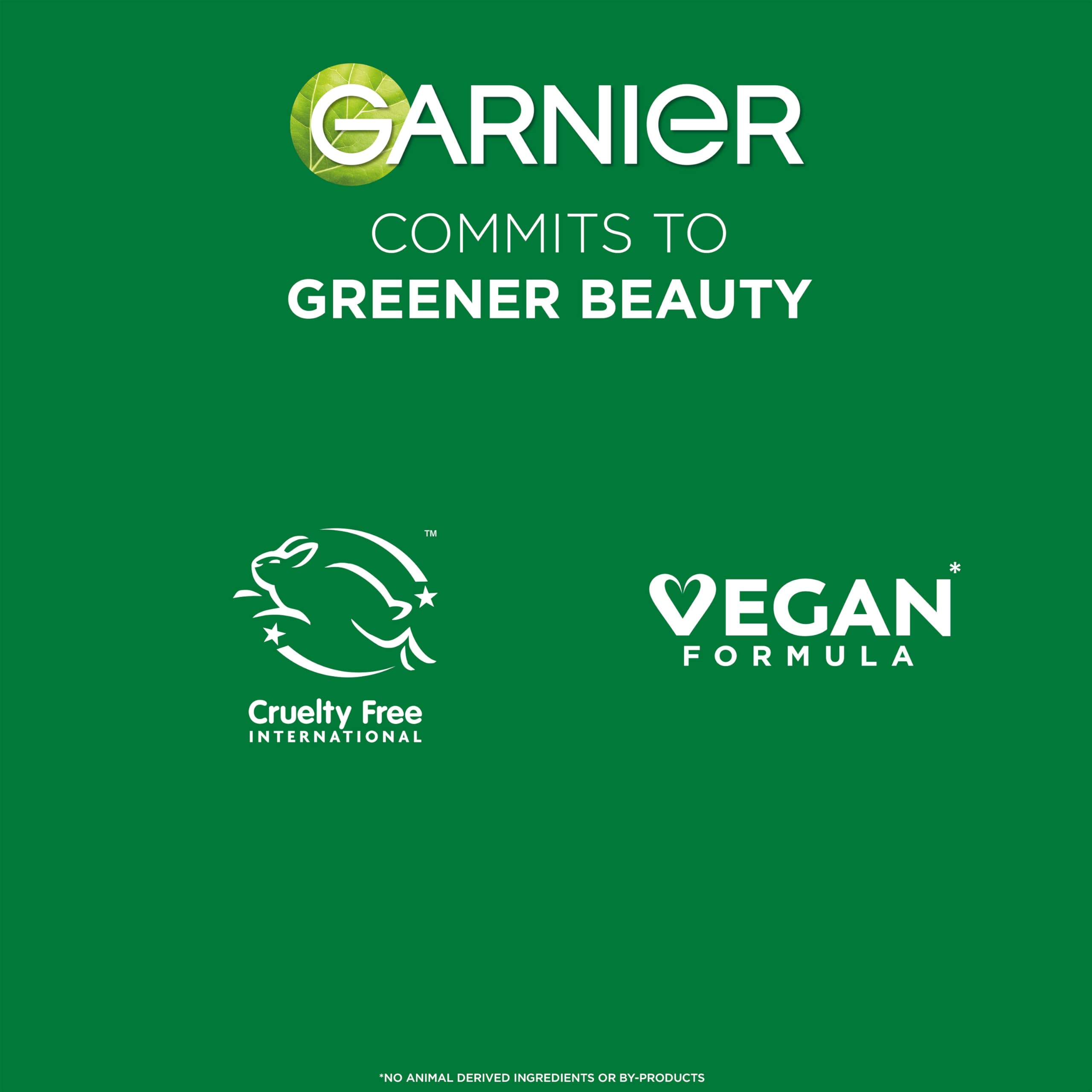 Garnier Natural Bronzer Self Tan Mousse (coccout), 300 g