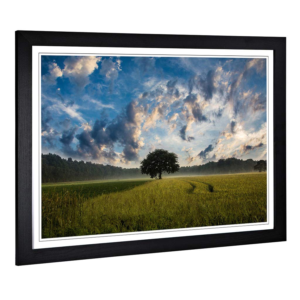 Big Box Art Framed Print of Landscape Lone Tree in a Cornfield Design | Wall Art Picture | Home Decor for Kitchen, Living Room, Bedroom, Hallway, Black, A2 / 24.5x18 Inch / 62x45cm