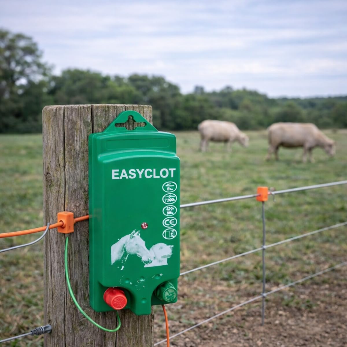Electrificateur de clôture pour Chien Easyclot