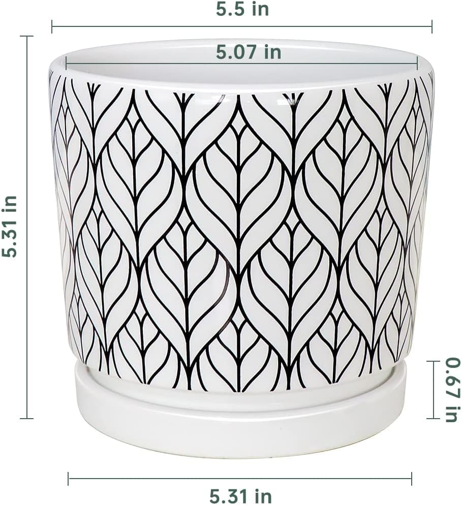 Set of 4 White Ceramic Planters with Drainage Holes