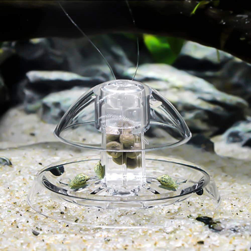 2 Pezzi Trappola per Lumache per Acquario Acquario Plastica Trasparente Trappola per Lumache Acquario Piante Planarian Sanguisuga Catcher 6 Cm