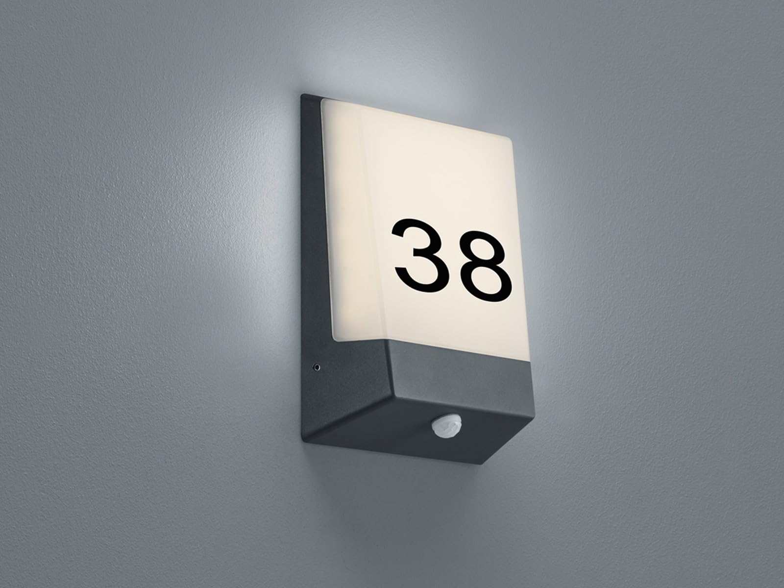 Trio Leuchten Wandleuchte 228669142 Kasai, Aluminium anthrazit, 9 Watt LED, Dämmerungssensor, 5.9 x 16.10 x 21.1 cm