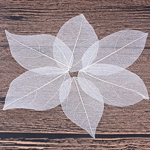 6 hojas naturales esqueletizadas blancas para manualidades miniatura 5