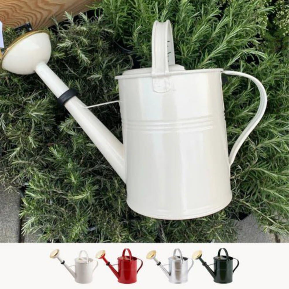 PLINT 5L Watering Can - Modern Style Watering Pot for Indoor and Outdoor House Plants - Coloured Galvanised Powder Coated Steel - Metal Design With Narrow Spout And High Handle -Winter white