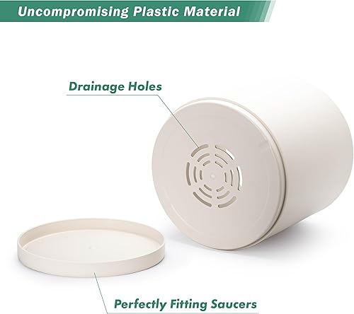 Miniatura 64 de D'vine Dev Macetas de plástico de 10 pulgadas para macetas de plantas con agujero de drenaje y platillos sin costuras, color negro, 74-X-B-2 Mate