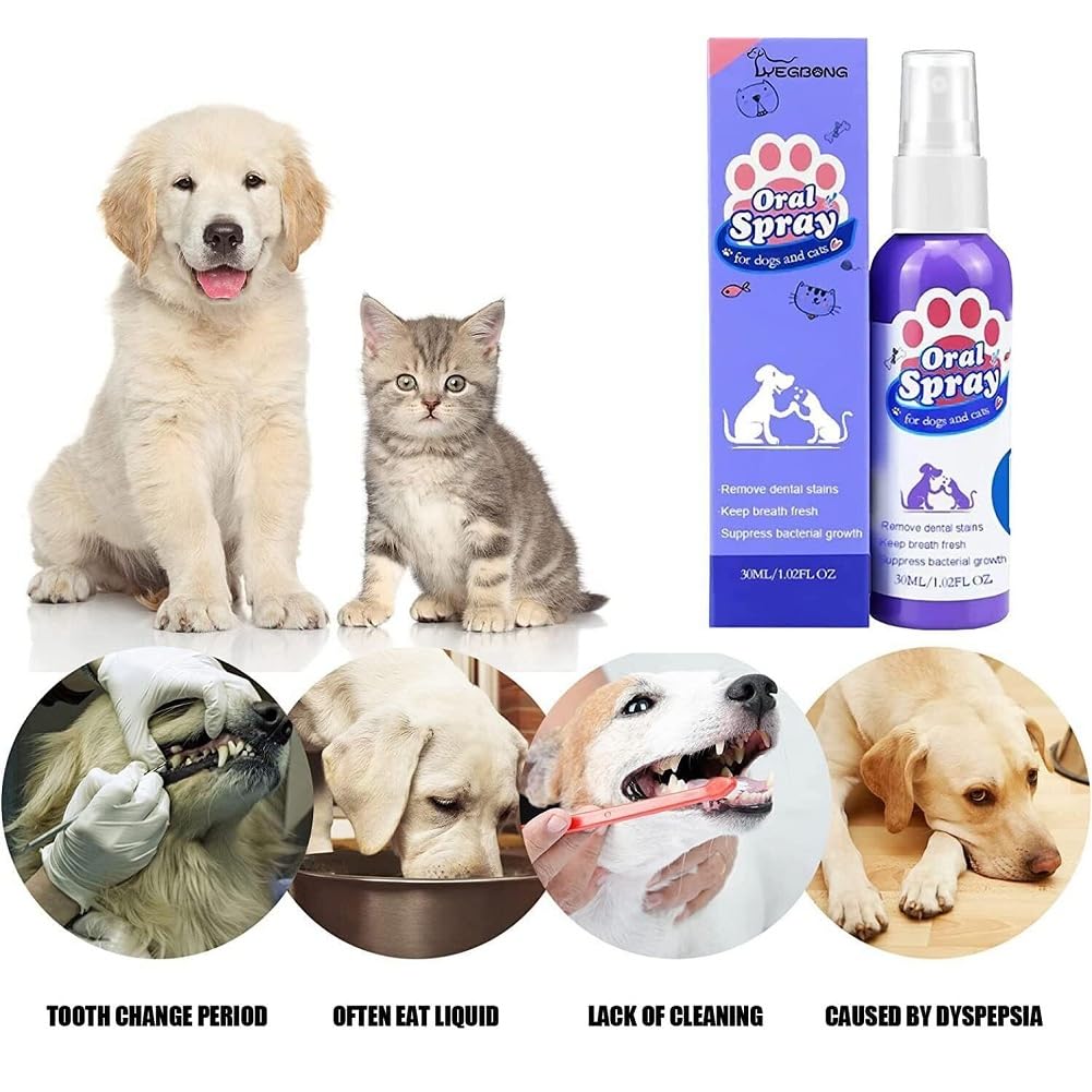 Spray de nettoyage des dents pour chiens et chats, nettoyant pour dents d'animaux domestiques, soins dentaires pour animaux de compagnie, élimination de la mauvaise haleine des animaux de compagnie,