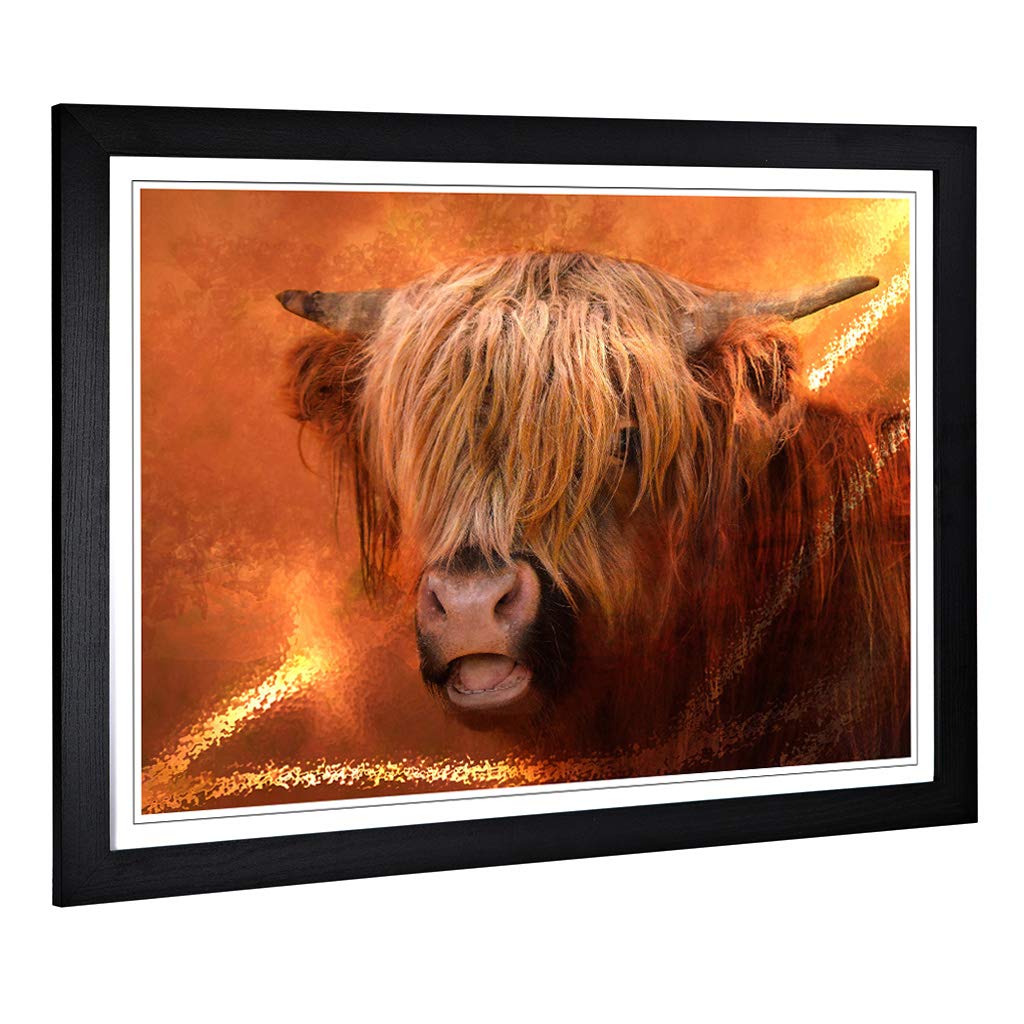 Big Box Art Framed Print of Highland Cow Design | Wall Art Picture | Home Decor for Kitchen, Living, Dining Room, Lounge, Bedroom, Hallway, Office, Black, A2 / 24.5x18 Inch / 62x45cm