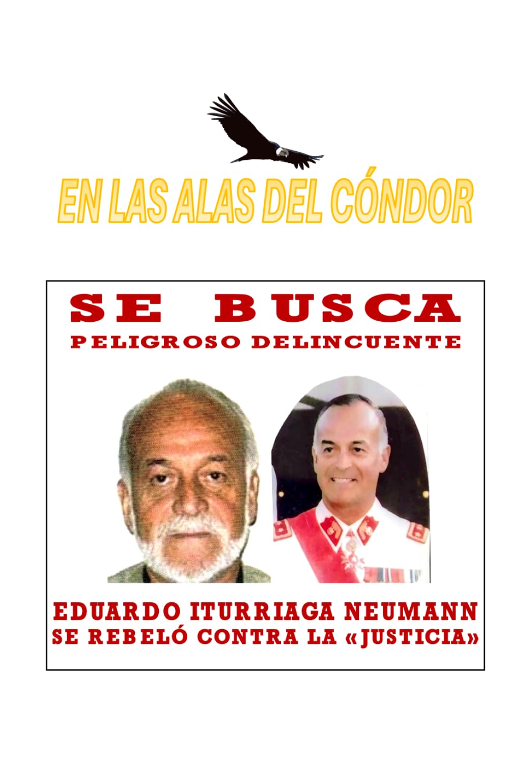 En las Alas del Cóndor