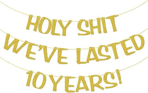 Holy Shit We Lasted 10 Years - Cartel de 10 aniversario de boda, decoración divertida para él, su marido, esposa, padres, pre-encordado, purpurina