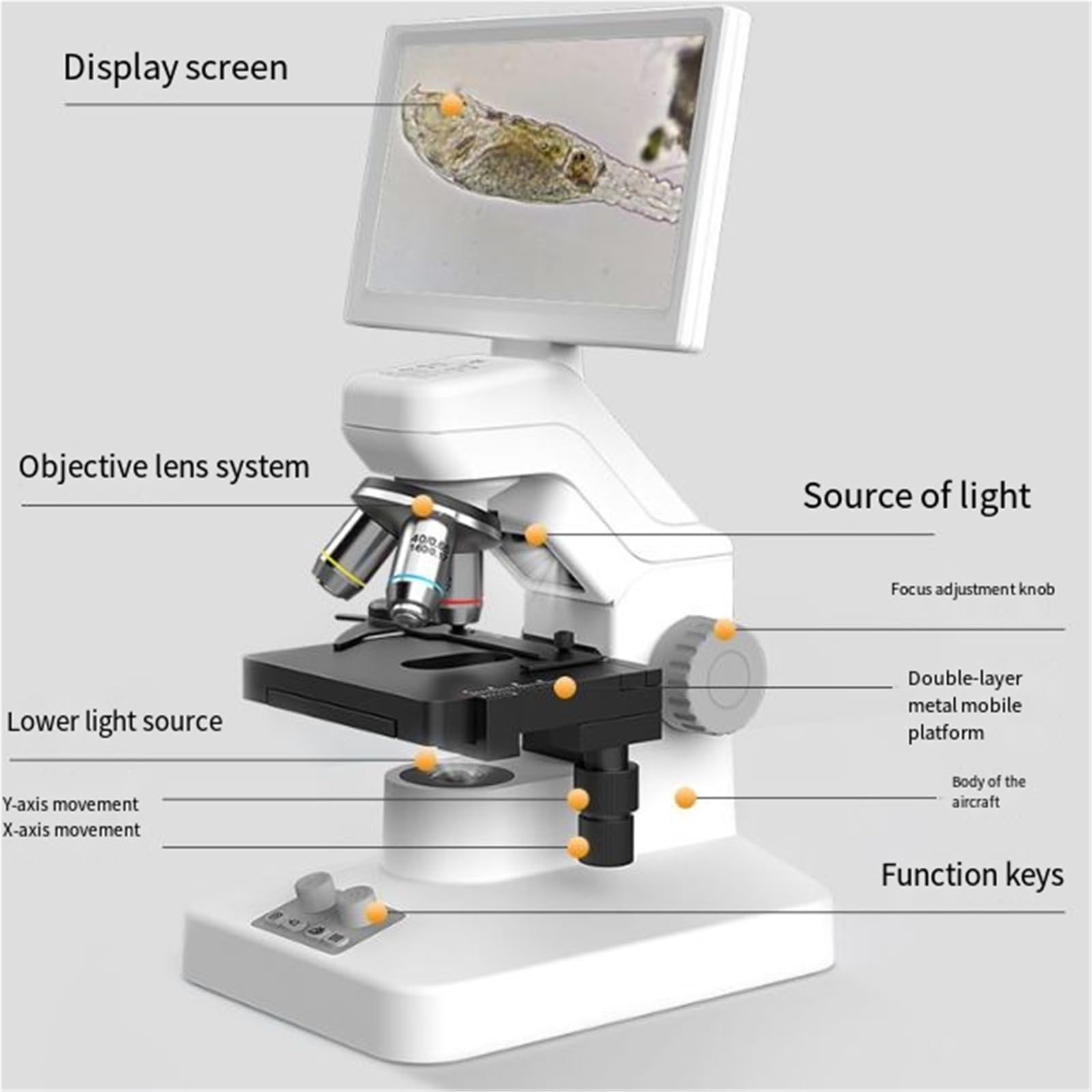 Microscopio Biologico Multifunzionale 1600X WiFi Digitale