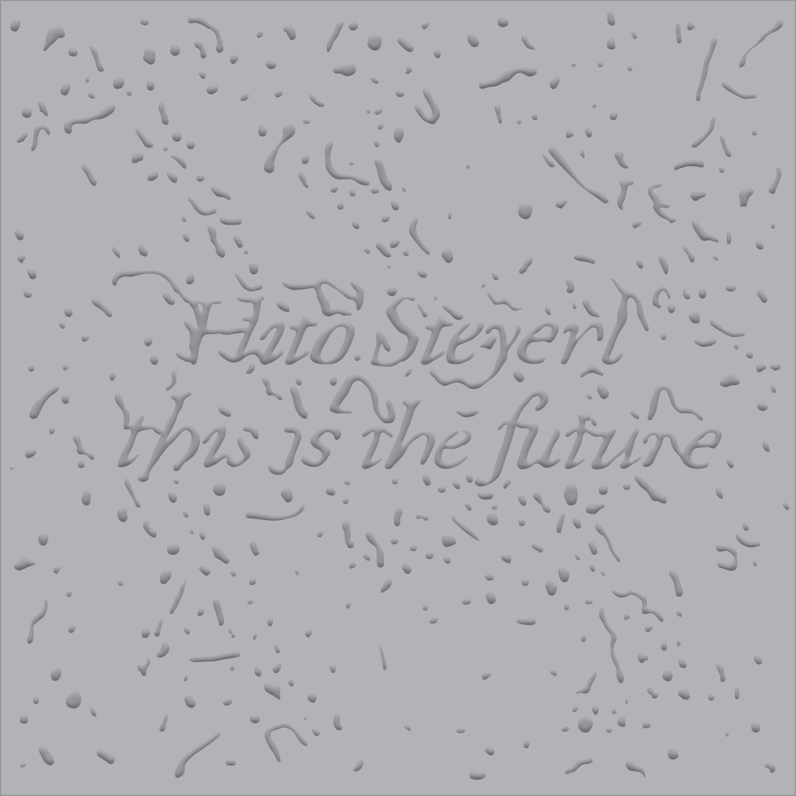 Hito Steyerl: This Is the Future Livre d'Art Contemporain Prestel