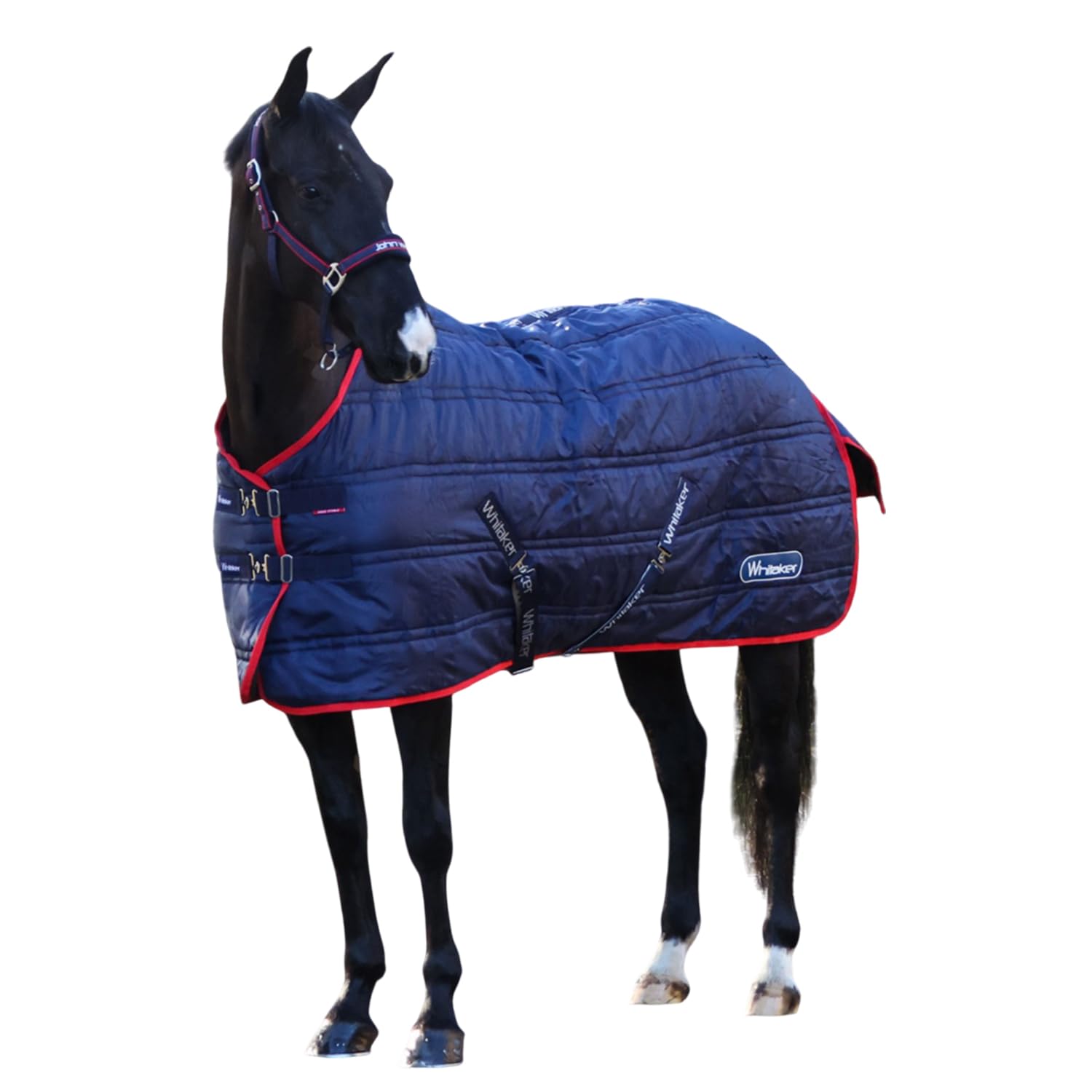 Whitaker - Rastrick V2 Standard Fleece Pferdedecke (145cm) (Marine)