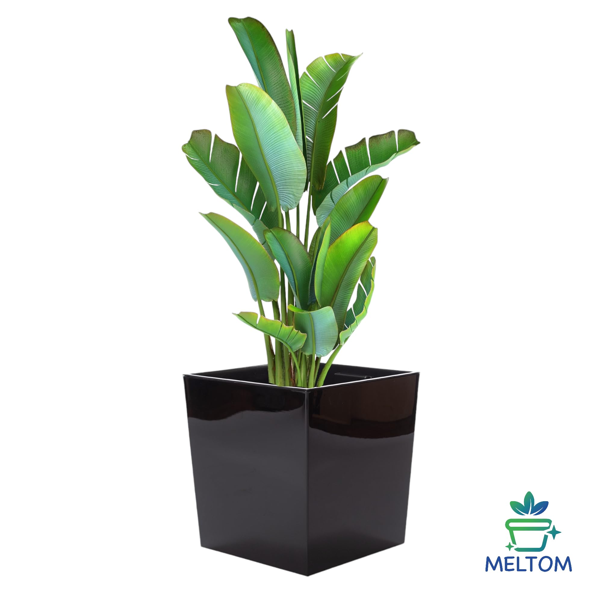 MELTOM Blumentopf Eckig 38,5 cm Hochglanz Schwarz Pflanzkübel mit Einsatz