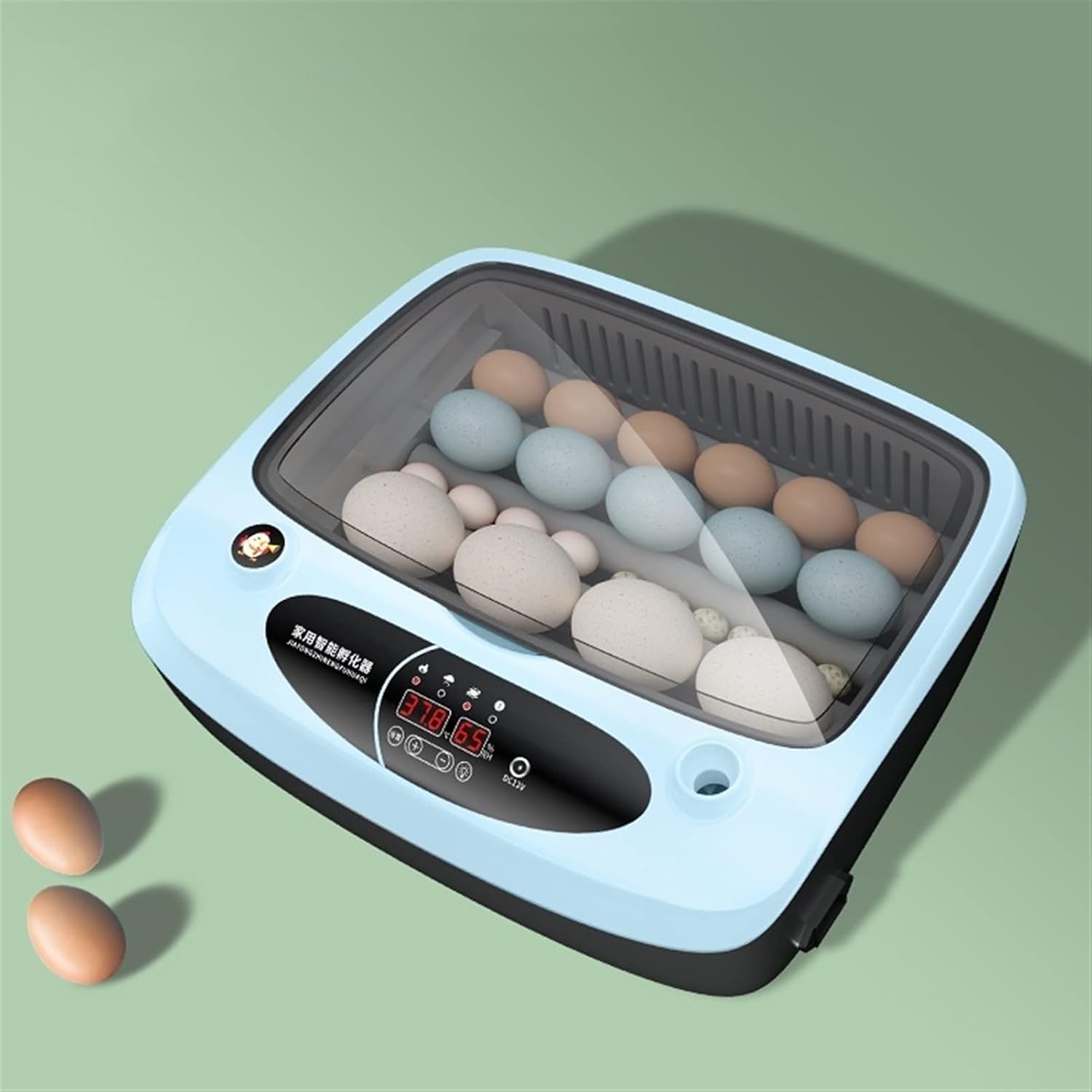 Incubatrice Digitale Incubatrice Automatica for 24-36 Uova a Doppia Alimentazione(36pcs,Single Supply)
