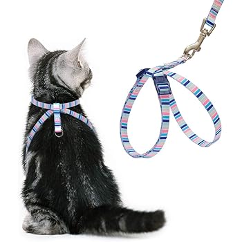 figure eight cat harness