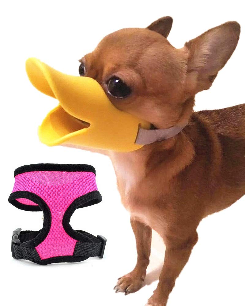 extra small muzzle for chihuahua