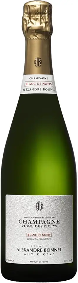 Champagne Alexandre Bonnet Blanc de Noirs Extra Brut 750ml