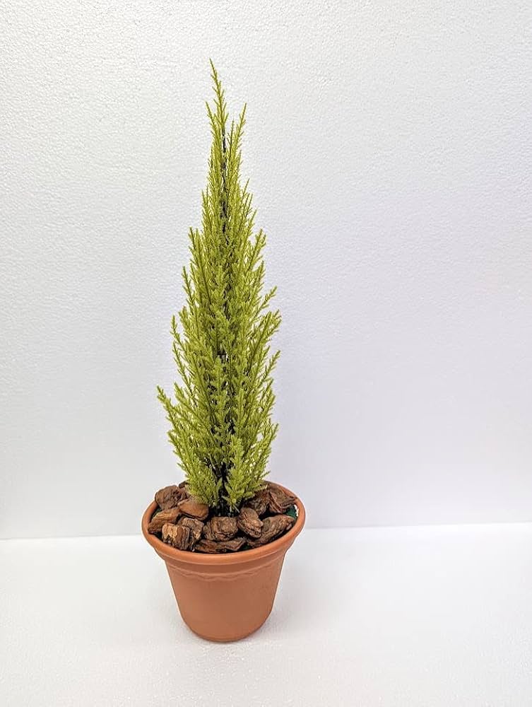 光触媒 人工観葉植物 フェイクグリーン ゴールドクレスト1.4 室内外兼用 Amazon|人工観葉植物 フェイクグリーン ゴールドクレストミニ