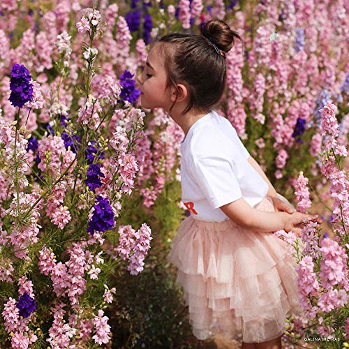 Chicwish Girl's Nude Pink Tiered Layered Mesh Ballet Prom Party Tulle Tutu A-Line Midi Skirt For Kids #TOP4