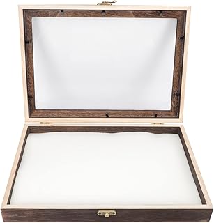 Insect Display Case Wooden Bug Collection Box with Clear EVA Top Insect Shadow Box Insect Specimen Storage Box for Home