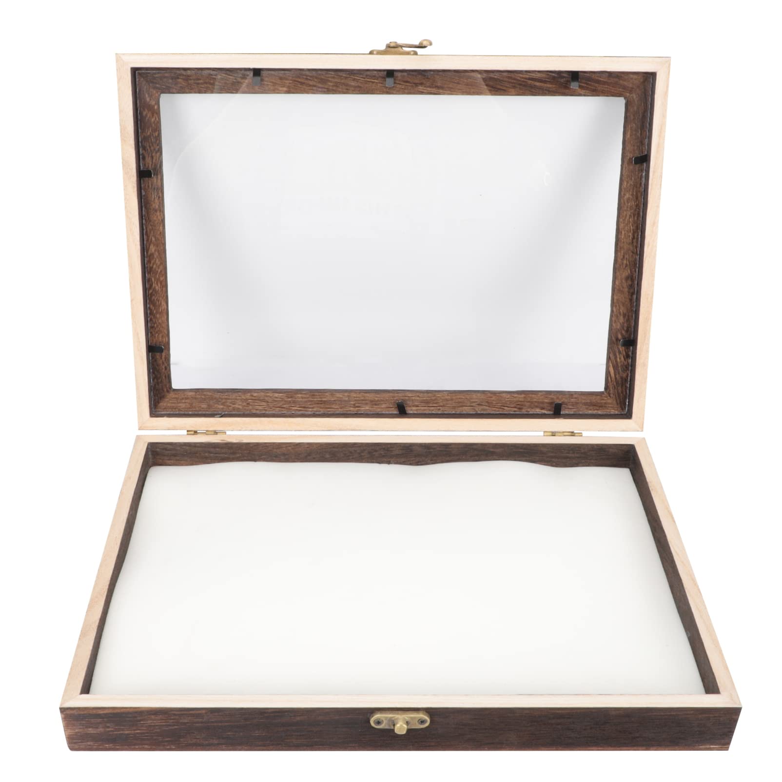 Cabilock Glass Jewelry Display Case Insect Display Case Wooden Bug Collection Box with Clear Glass Insect Shadow Box Insect Specimen Storage Box for Home Kids Jewelry Organizer