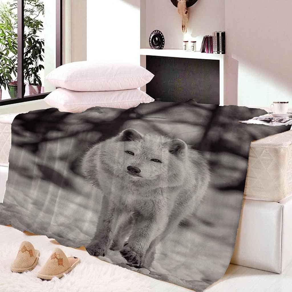 Couverture flanelle loup blanc 150x200cm, le plaid canapé idéal pour vos soirées cinéma et voyages