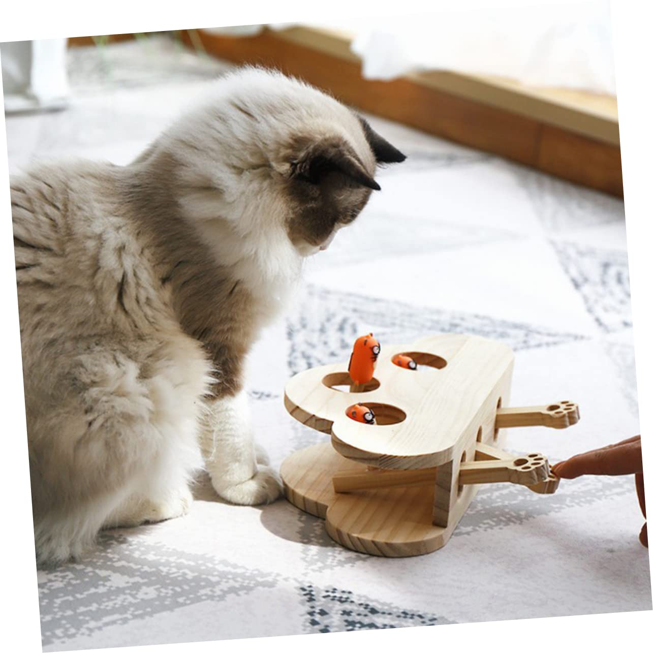 Toddmomy Jouet Souris pour Chat Et Griffoir Éducatif Jouet Interactif pour Animal De Compagnie Motif