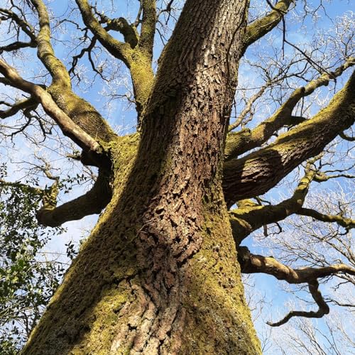 Nouvel &eacute;pisode du 18/04 19:05