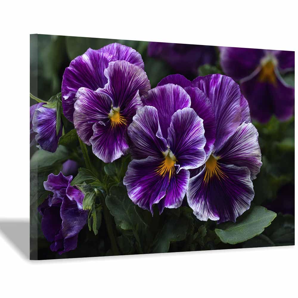 ZAMAEIU Nature Landscape Picture Cluster of patterned petals Large Modern Scenic Painting, for Living Room Bedroom Bathroom Dinning Room Home Office Wall Decor(Purple;)-70x100cm Framed