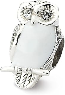 Reflections Sterling Silver Enameled Wise Owl Bead