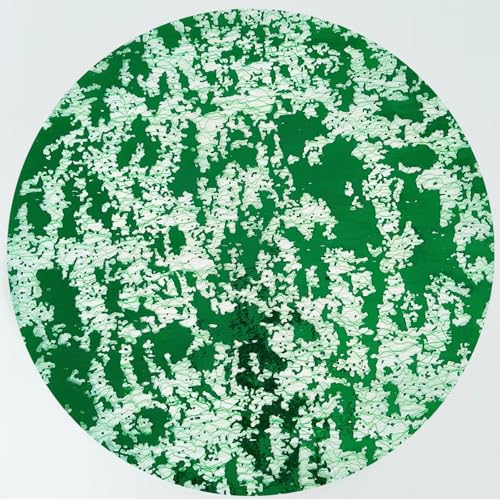 YLUSUJAKX Green Placemats Disposable Set of...