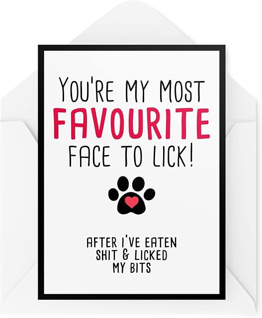 Funny Happy Birthday Cards from The Dog | Pet Lover Greeting Cards On His Birthday | Favourite Face to Lick After My Bits Girl Dog | CBH397
