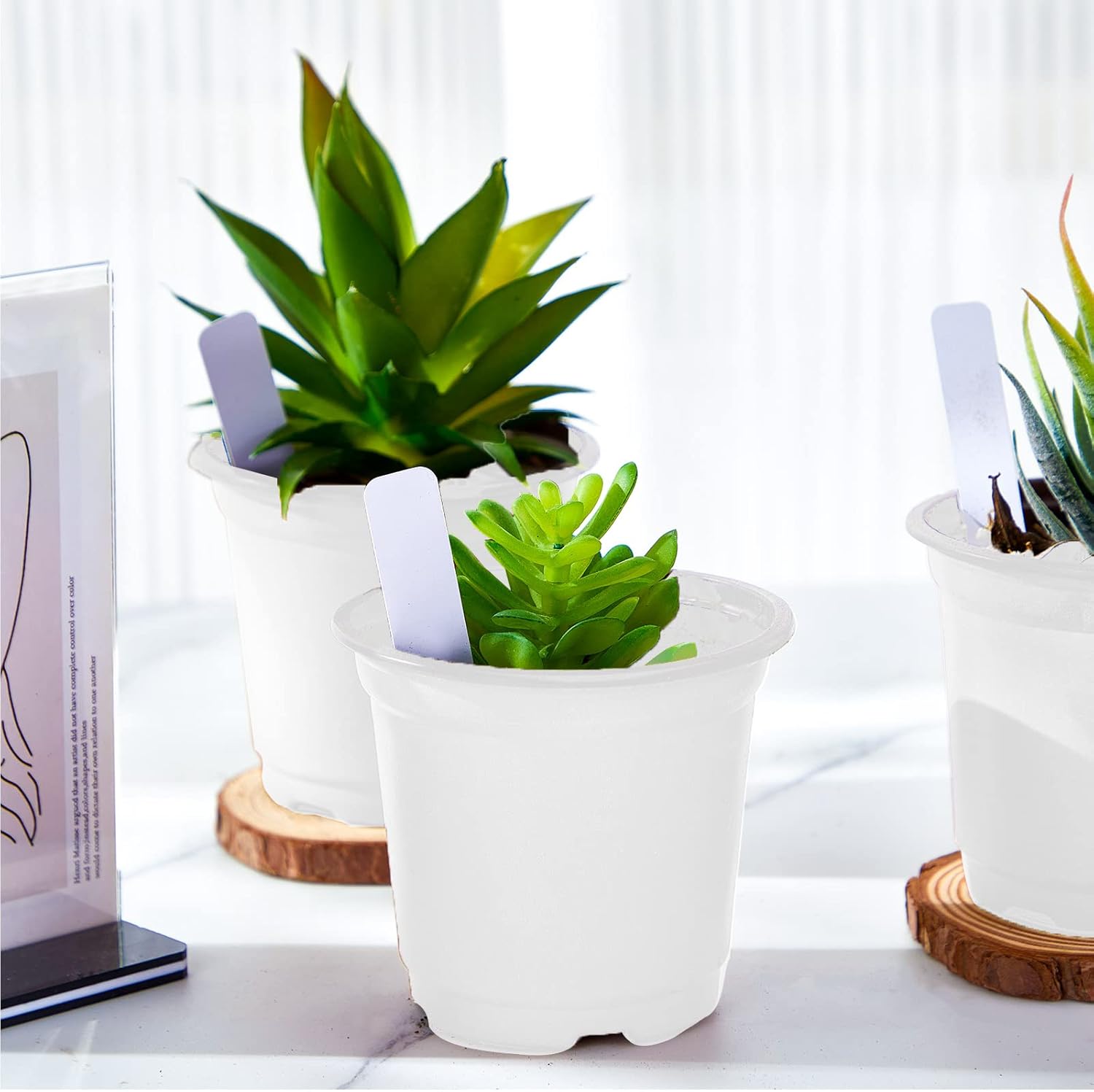 RETON Juego De 38 Macetas De Plástico Coloridas, Incluye 16 Macetas De Interior De 10/14 Cm Con Bandeja, Macetas De Plástico Con 18 Etiquetas Para Plantas, 4 Herramientas De Trasplante (8 Colores