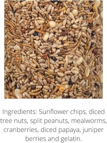 Miniatura 8 de JCs Wildlife Cilindro pequeño de semillas de ave premium (insectos, nueces y bayas)