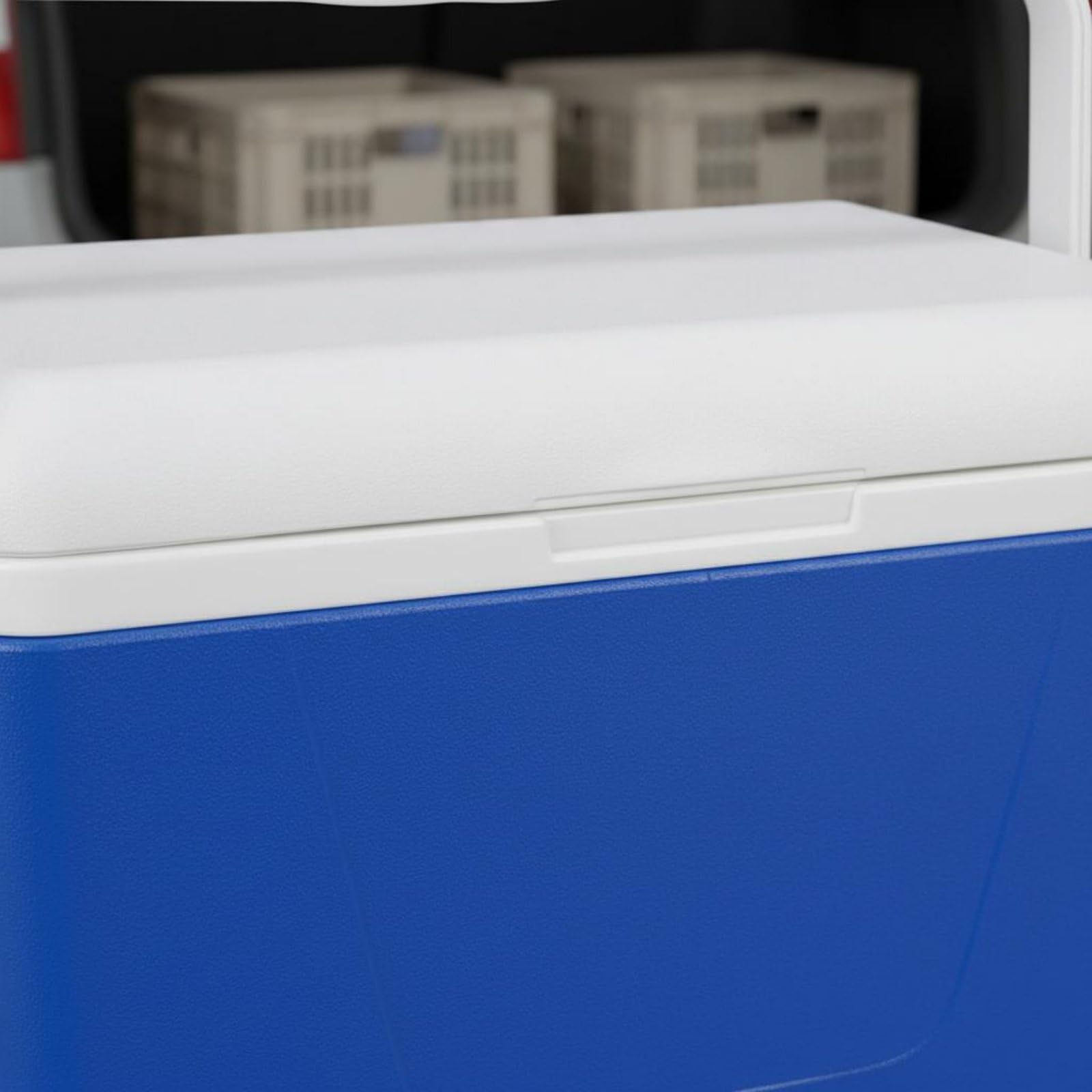 Qianly Cassa Termica da Trasporto Uso Caldo e Freddo Contenitore Isotermico per Alimenti Materiale Resistente Box Frigo Rigido per Consegna Cibo, Auto, Pesca