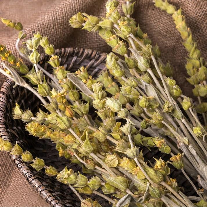 Miniatura 7 de Té griego de montaña (Mount Olympus)  Té de hierbas suelto para la longevidad  Sideritis Scardica  100% elaborado en forma silvestre, sin cafeína,