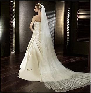 Soft Tulle Wedding Veil for Bride Lady 2 Layers 3 Meters Long Cathedral Chapel Floor Veils Embroidered Lace Trim Hair Side Comb (Ivory)