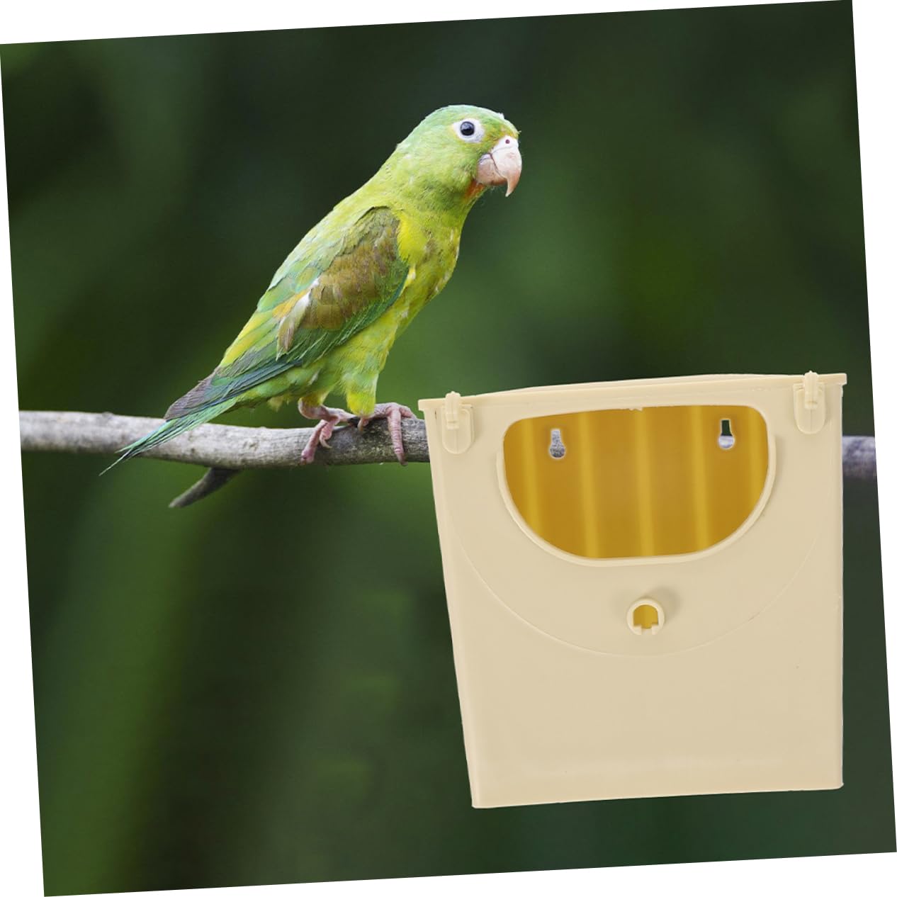 Scatola Nido in Plastica per Uccelli 5 Unitá Resistente all'Usura per Allevamento Cocorite e Pappagalli in Voliera
