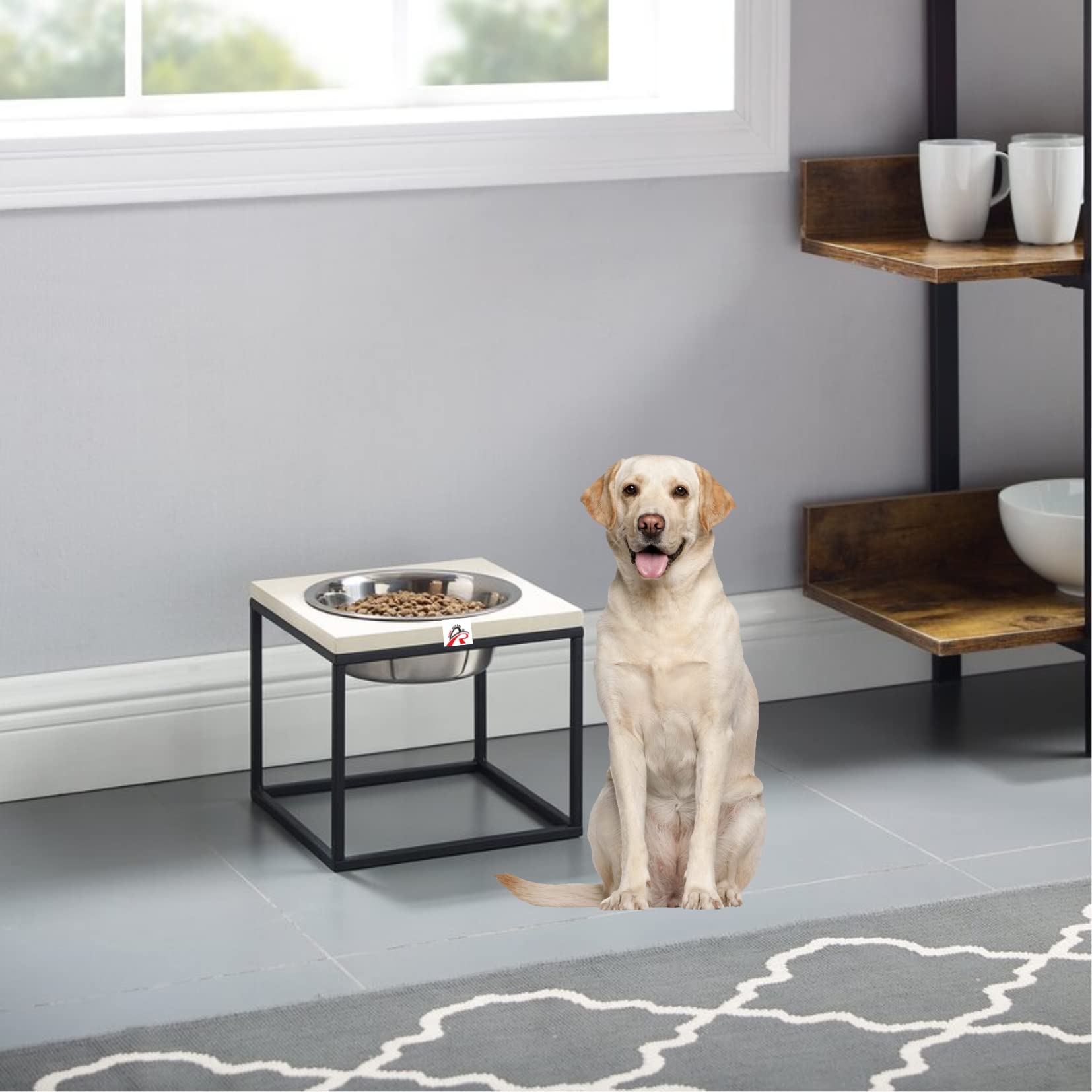 Sabri Shoppe Elevated Dog Feeder Stand with Single Bowl Non Adjustable Raised Dog Bowl Holder Stainless Steel Dog Bowl Non Slip Pet Feeding Station Dog Feeder for Small to Large Dogs fix Height 25 cm (B0BYQL2YG5) Amazon Price History, Amazon Price Tracker