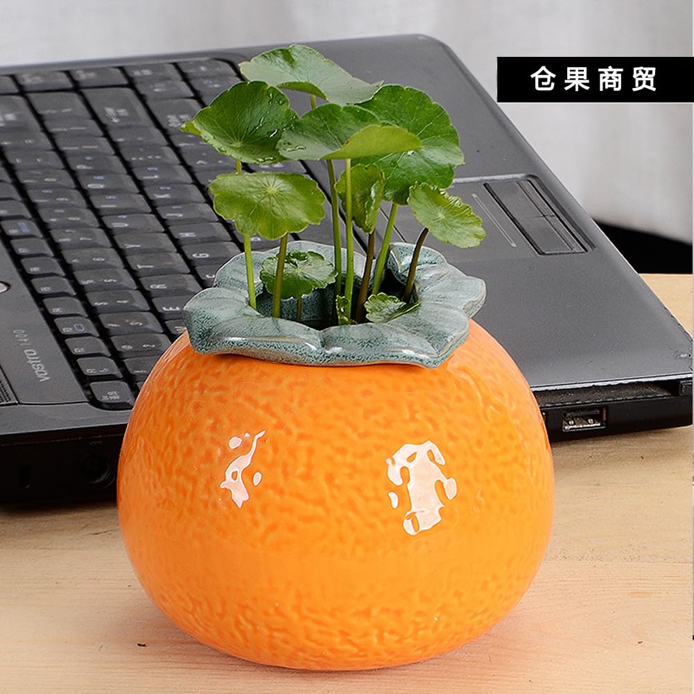 Amazon.co.jp: みかんの花瓶ミカンフルーツ形花瓶【2個】花器可愛い