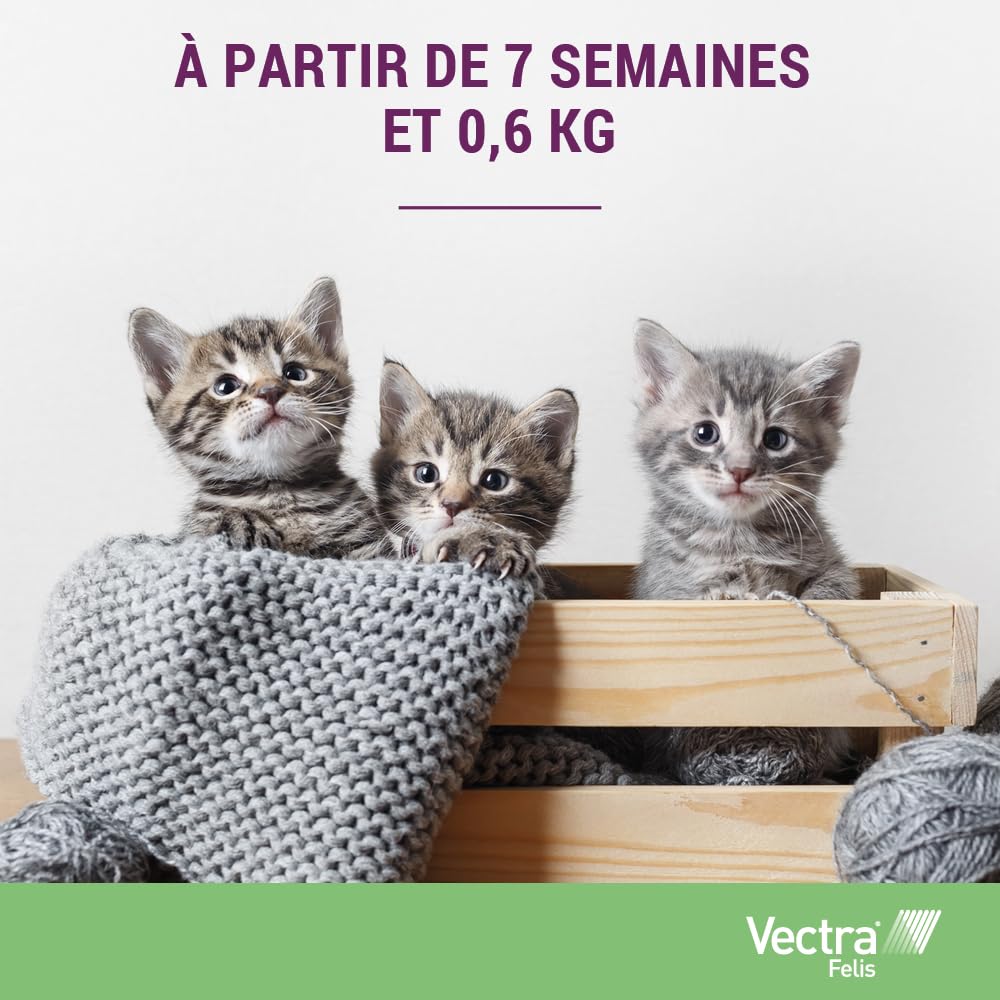 Vectra® Felis Solution Spot-on pour Chats - 3 pipettes