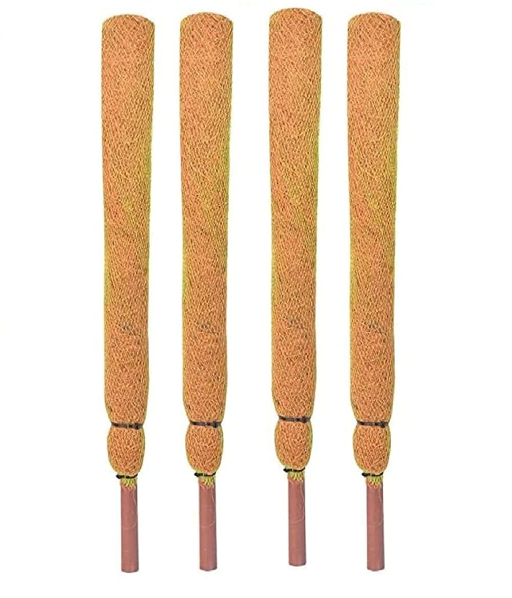 See full amazon price history chart for KURUPPATH Group Coco Pole - Coir Stick (Brown, 4 FEET) - 4 Piece KURUPPATH Group Coco Pole - Coir Stick (Brown, 4 FEET) - 4 Piece (B09DJW411K) Amazon Price History, Amazon Price Tracker