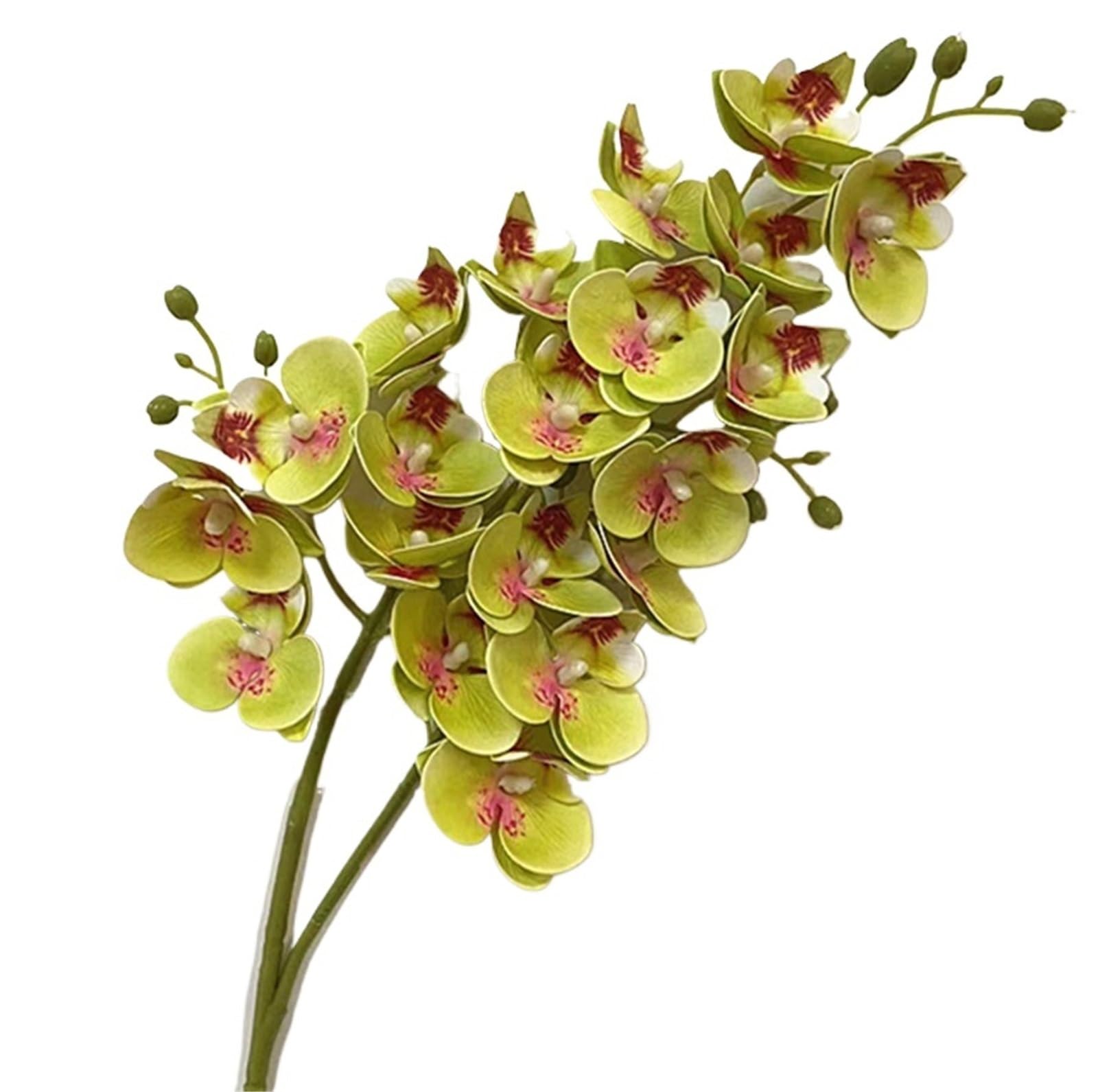 GMGQJST Artificial Orchid One Latex Butterfly Orchid Flowers