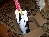 Review Image by Sam's Mom Sam's Mom