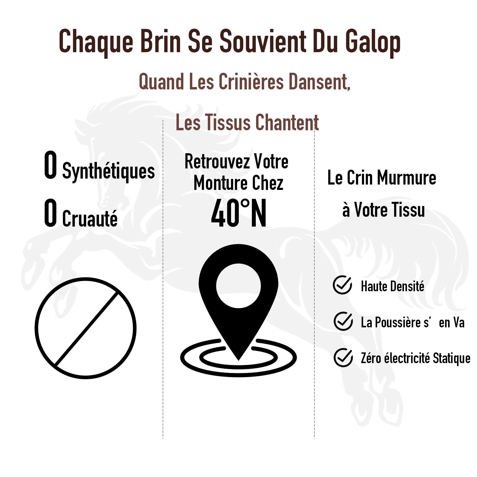 Kit Brosse Chaussure 3 Pièces - 100% CRIN de Cheval Naturel - Brosse à Lustrer, Brosse Applicateur (Palot) & Chiffon Microfibre - Set Complet pour Cirage et Entretien des Souliers & Bottes Cuir