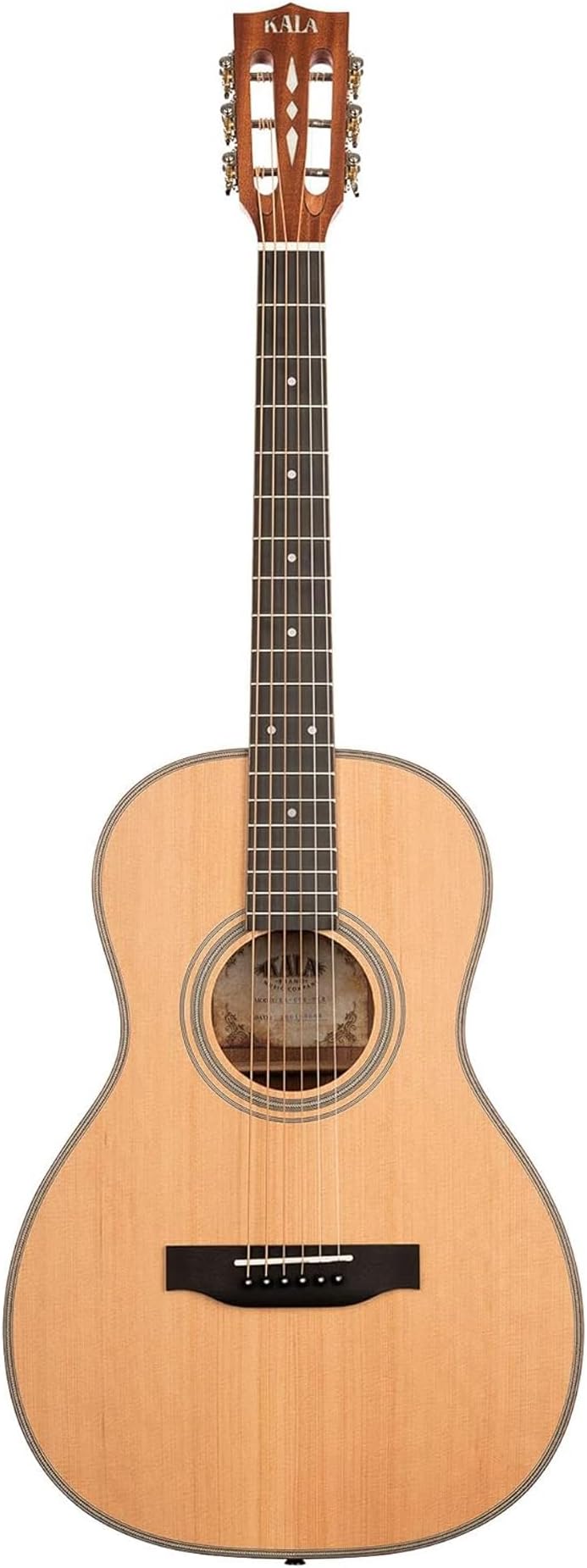 Cedar Top Parlor Guitar w/Bag