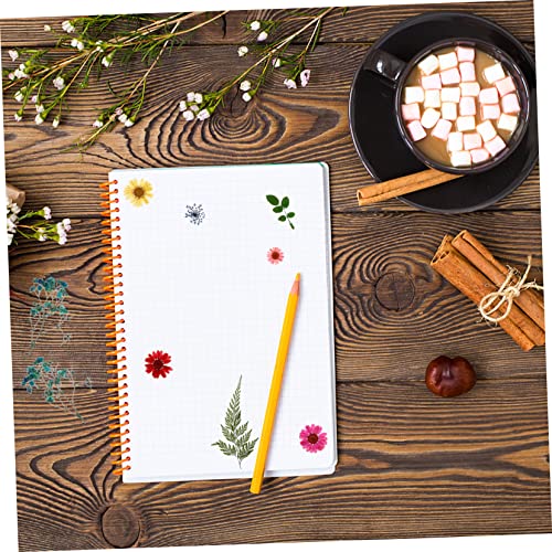 SEWACC 2 Conjuntos De Flores Secas Em Relevo Marcador Molde De Resina Mini Plantas Acessórios Para U