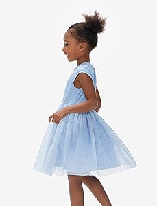 Disney Frozen Elsa Princess Cinderella Ariel Jasmine Rapunzel Baby/Toddler Dress, Ruffle Long-Sleeve Mesh Overlay Tulle Dress