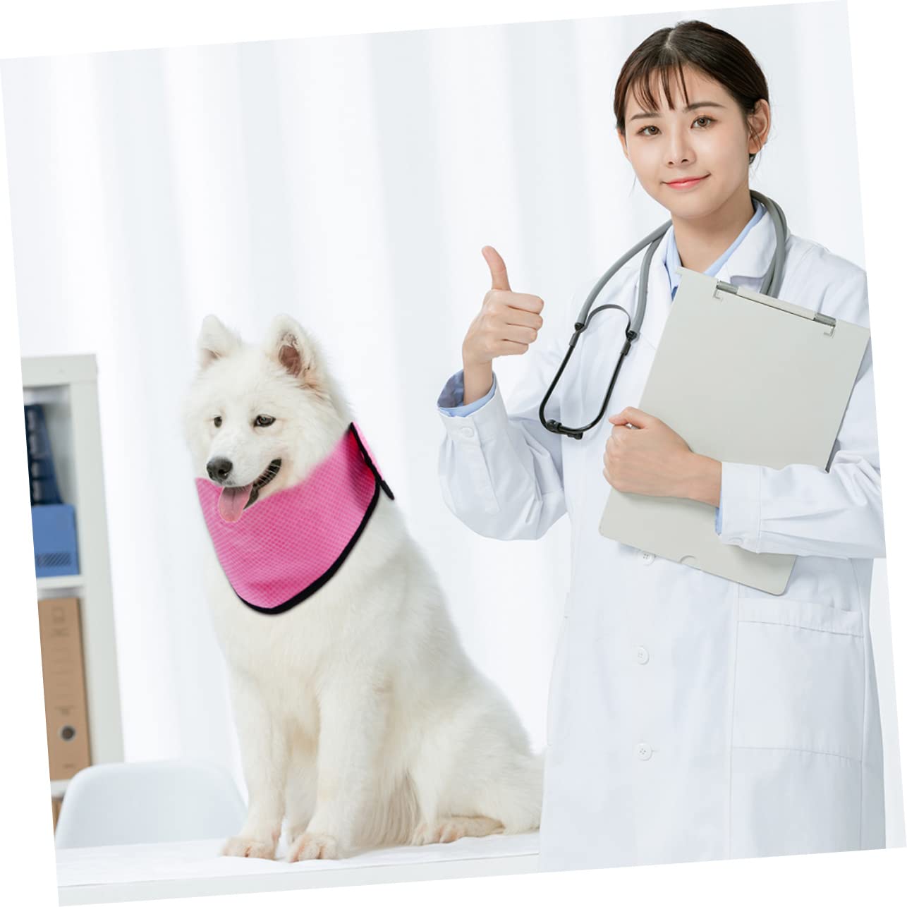Supvox 6stücke Kühlende Hundeschal Sommer Halstuch Für Heiße Atmungsaktive Hundekühlung Für Joggen Und Aktivitäten Im Freien