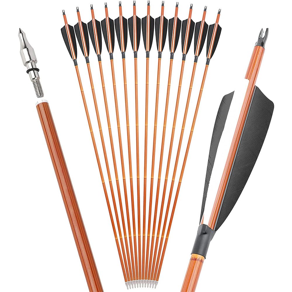 12 Stück professionelle Hybrid-Carbonpfeile mit 4-Zoll-Naturfedern – SP500 Bogenschießpfeile, ideal für Wettkämpfe und Training im Innen- und Außenbereich